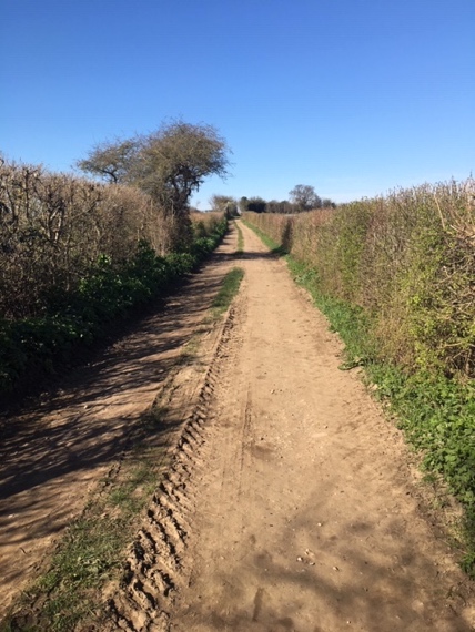 A train traveling down a dirt road

Description automatically generated