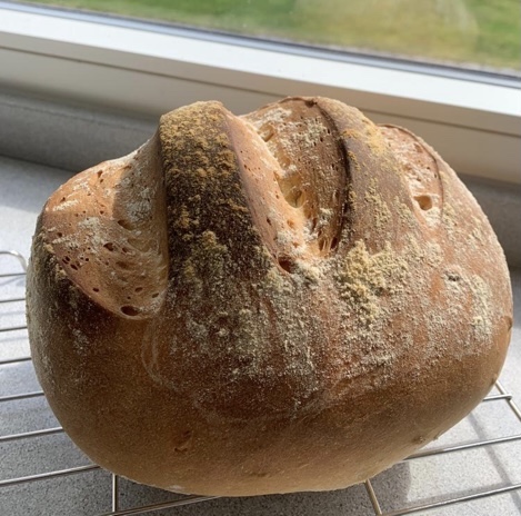 A loaf of bread on a cooling rack

Description automatically generated with medium confidence